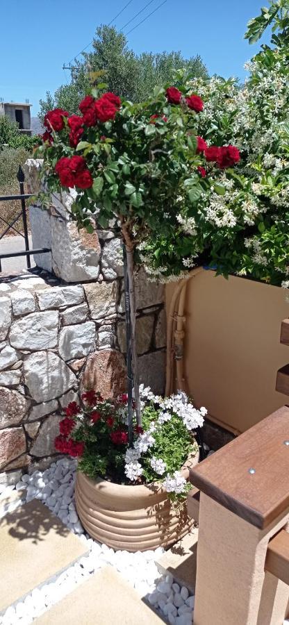 Antony Home Κουνουπιδιανά Εξωτερικό φωτογραφία